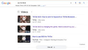 TikTok results on Google